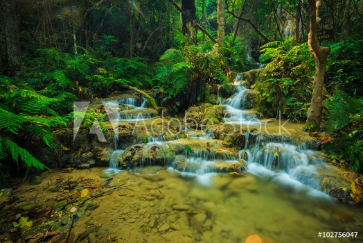 Picture of wonderful waterfall in thailand Pugang waterfall chiangrai